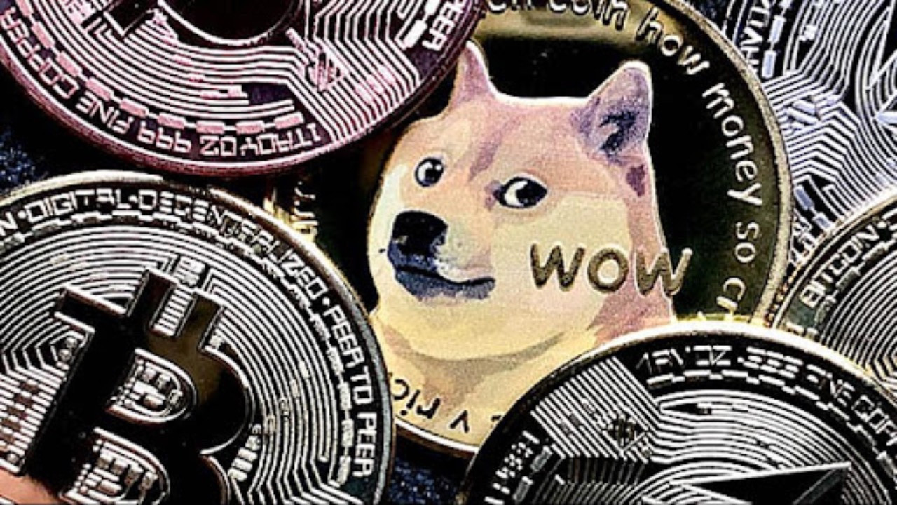 Payu Coin kuruldu: Tüm meme coin'ler tek çatıda toplanıyor