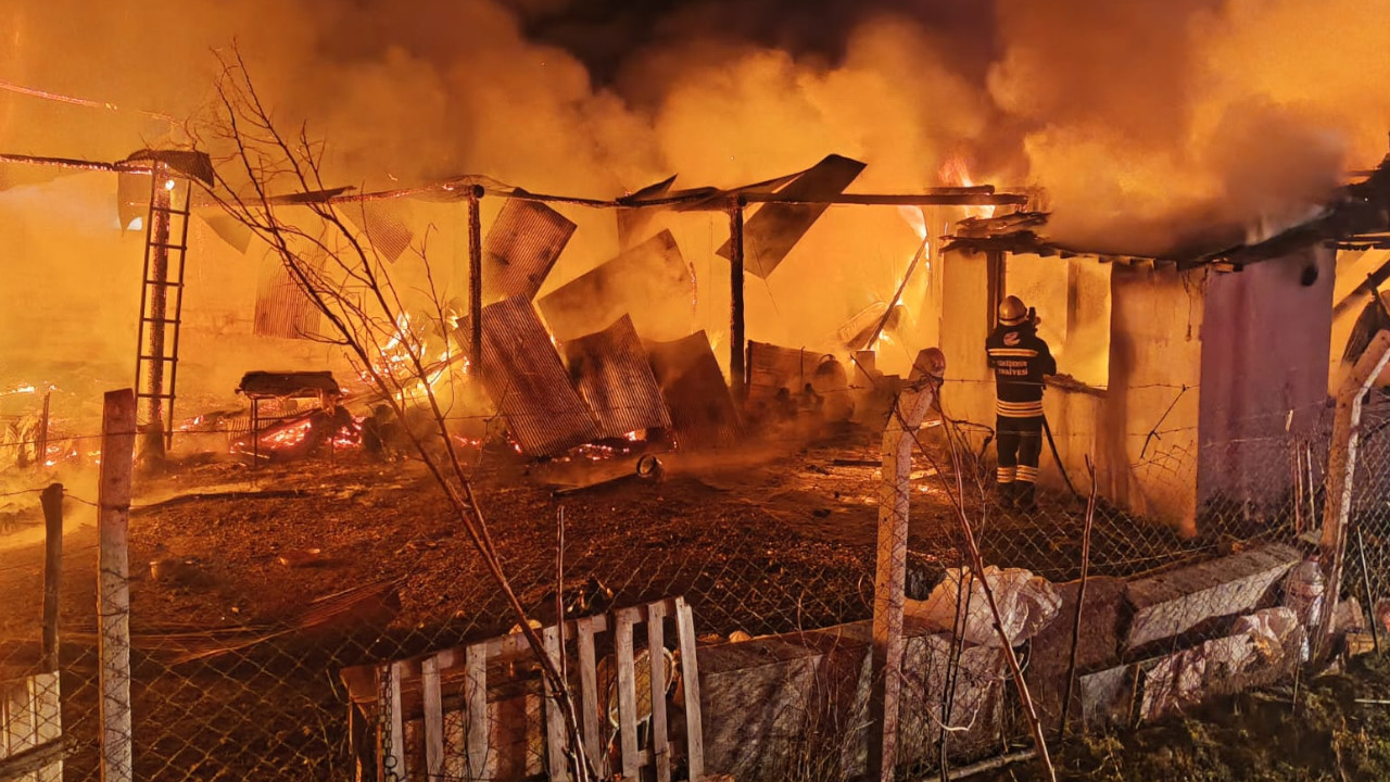 Eskişehir'de ağılda yangın: 63 küçükbaş hayvan öldü