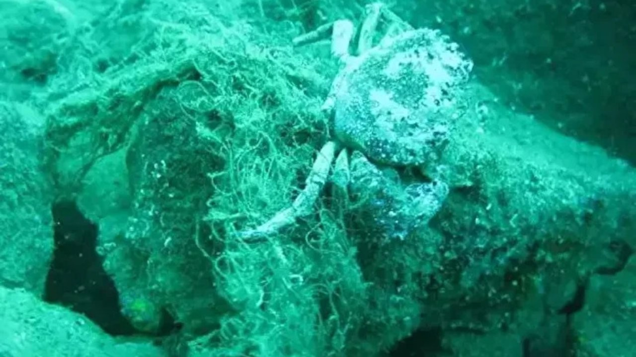 Karadeniz'de ağlarla kaplı batık gemi bulundu: Hemen temizlenmeli
