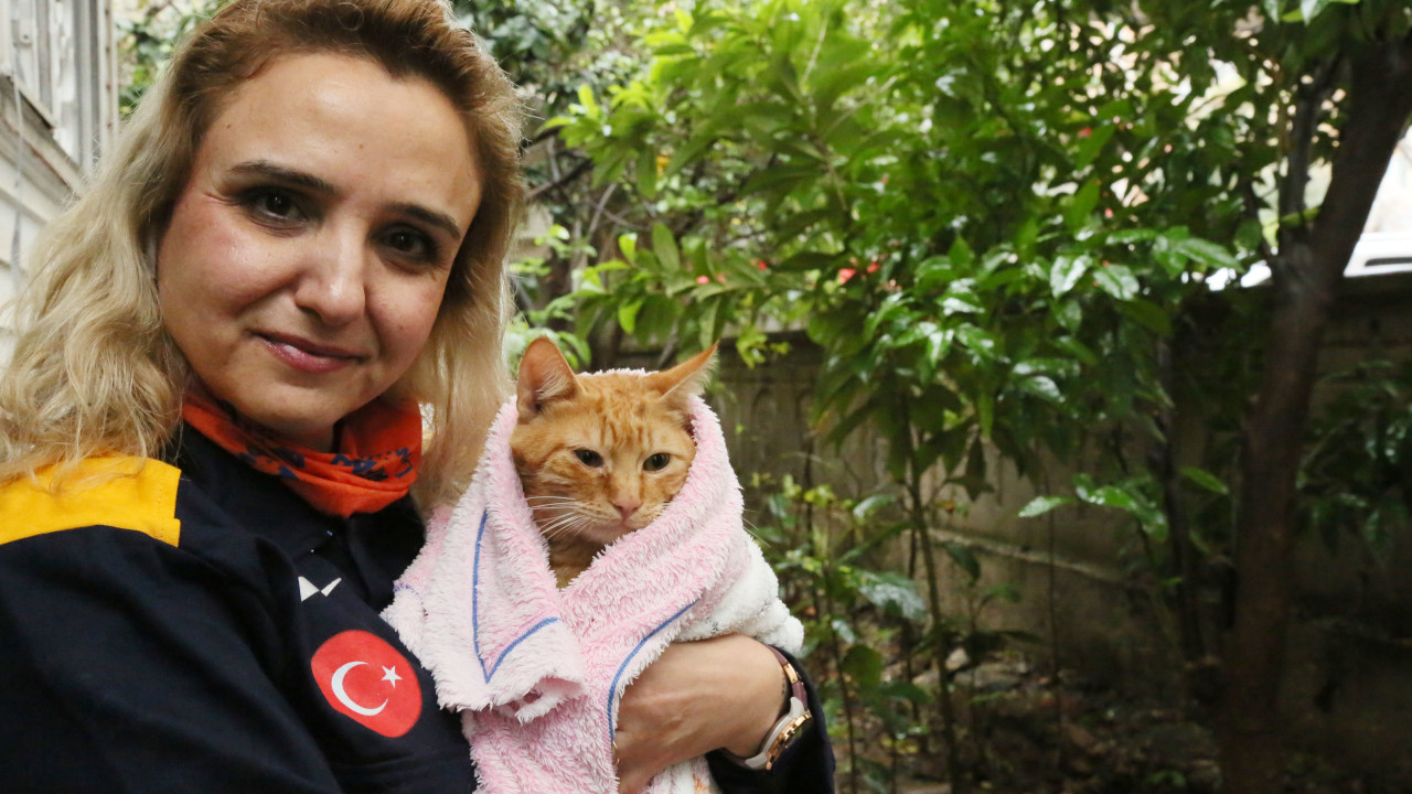 AFAD gönüllüsü su basan bodrumdan kediyi kurtardı