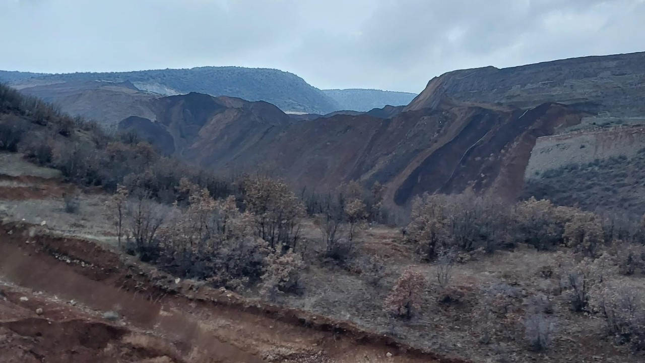 Yerlikaya: İşçilerden 5'i konteynerde, 3'ü araçta, 1'i kamyonda