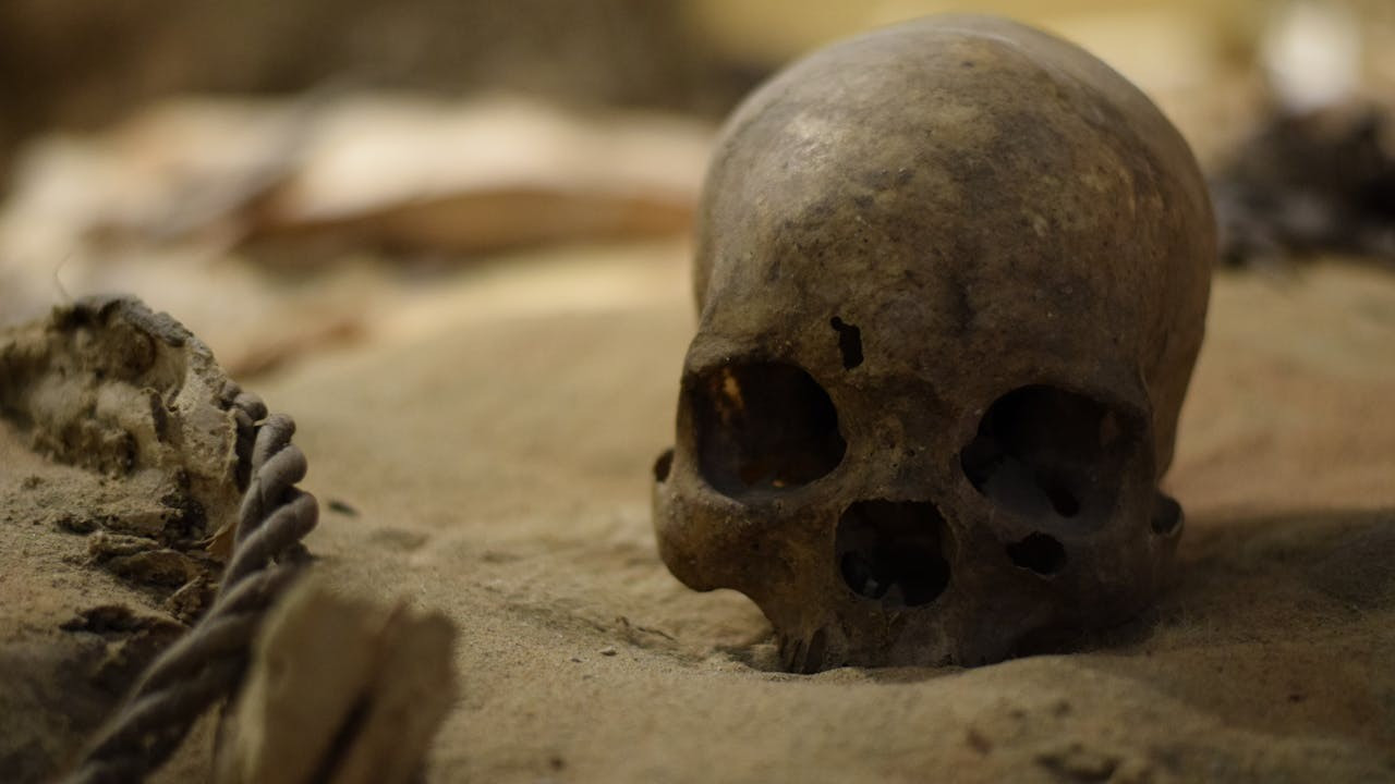 5 bin yıllık 'Vittrup Adam' gizemi: Kafasına defalarca vurulmuş