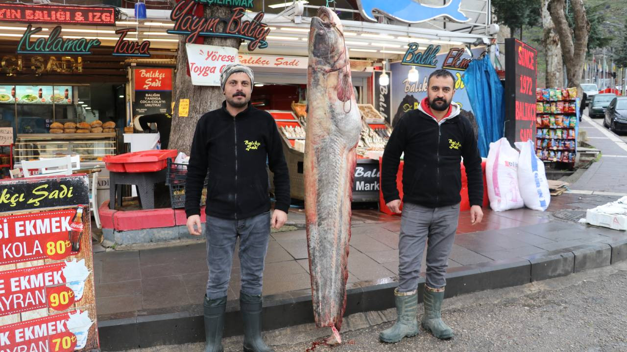 Amasya'da 2,1 metre boyunda yayın balığı avlandı
