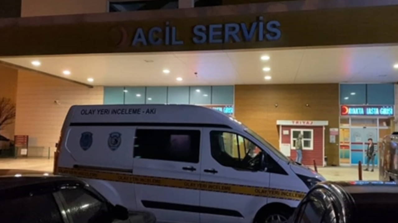 Bursa'da köpek saldırısına uğrayan kişi yaralandı