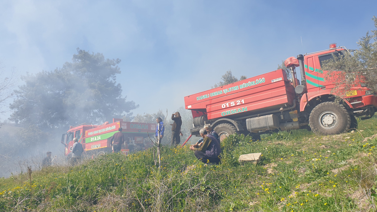 Osmaniye'de ormanlık alanda yangın: 5 dekarlık alan zarar gördü