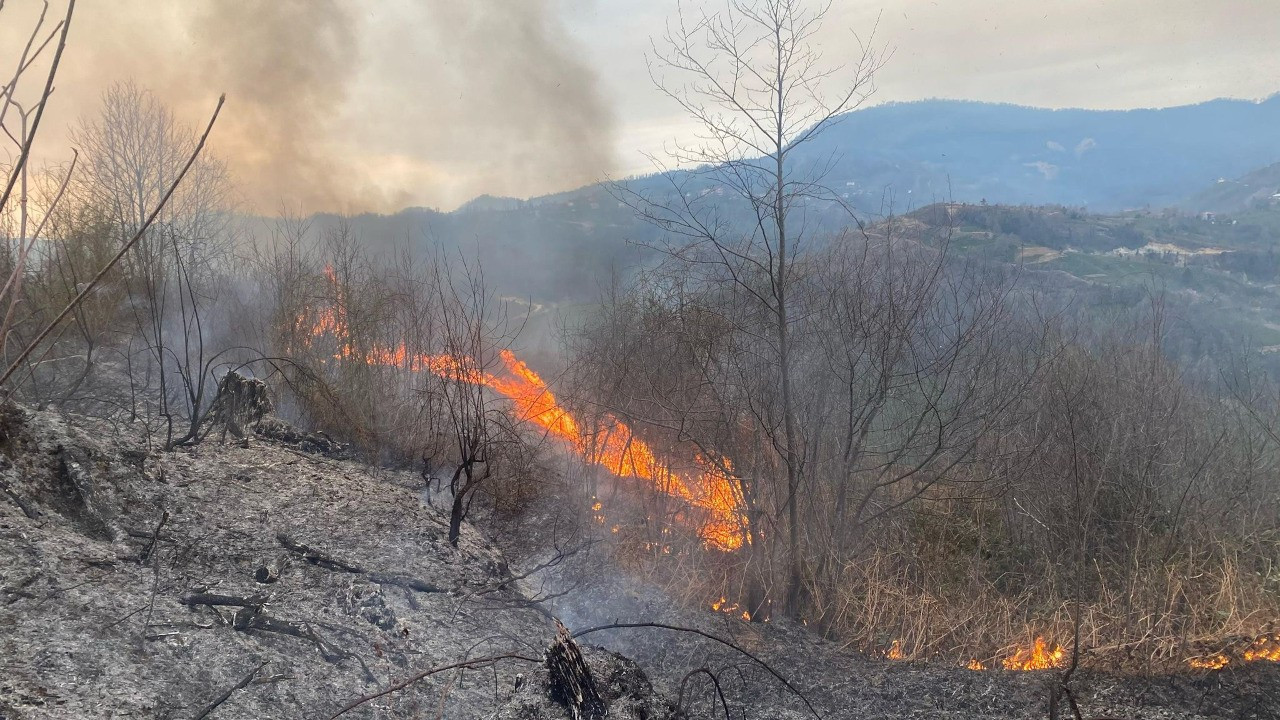 Artvin'de orman yangını: 1 hektarlık alan zarar gördü