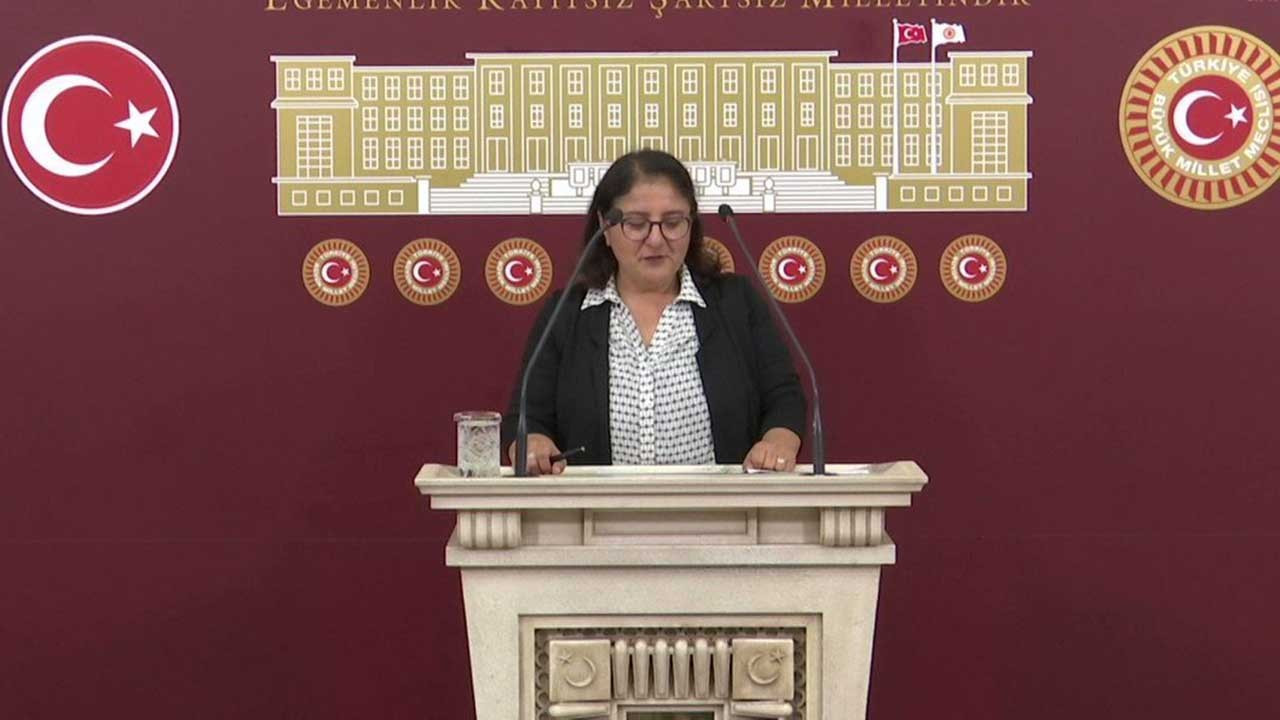 Düzgün Baba Cemevi Başkanı'na verilen hapis cezası Meclis gündeminde