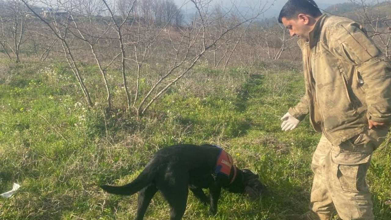 Ormanda kaybolan engelli Mehmet Yüksel'i Voltaj buldu