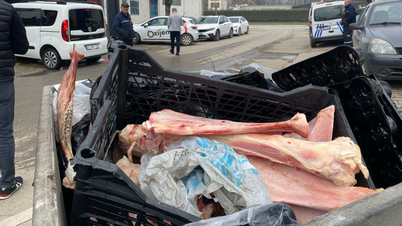 Çöpte at kemikleri bulundu: Etleri özenle sıyrılmış