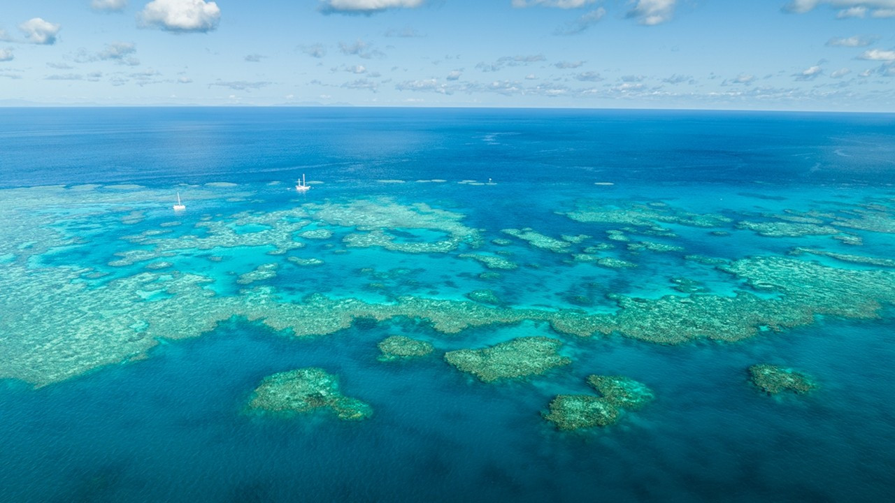 Dünya Mirası Listesi’ndeki dünyanın en büyük mercan resifi beyazlıyor