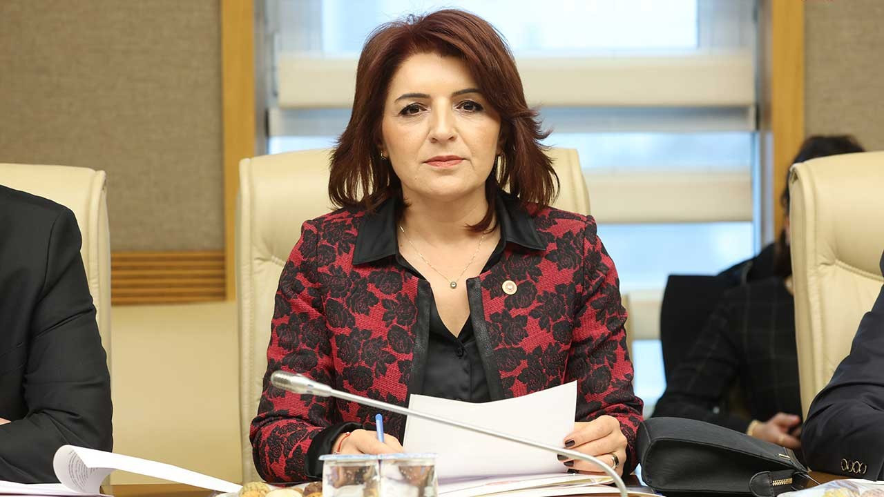 CHP Mersin Milletvekili Kış’tan depremle ilgili soru önergesi