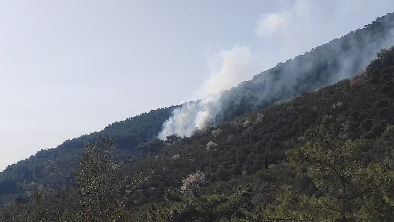 Yaz gelmeden başladı: Kaz Dağları eteklerinde orman yangını korkuttu