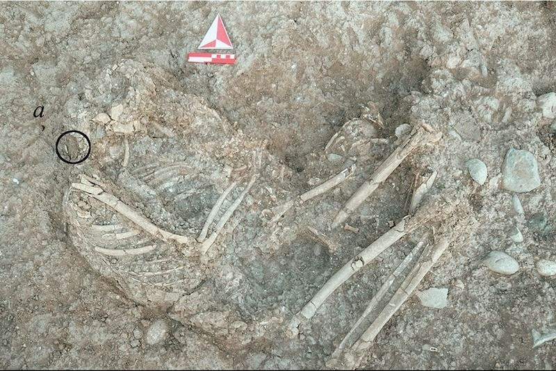Keşif: 11 bin yıl önce Anadolu'daki insanlar dudak piercingi takıyordu - Sayfa 1