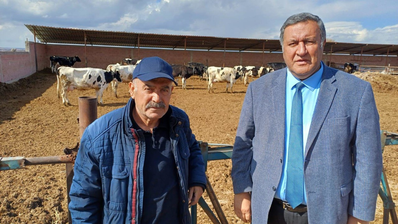 CHP'li Gürer: Hayvancılıkta küçük aile tipi işletmeler tükeniyor