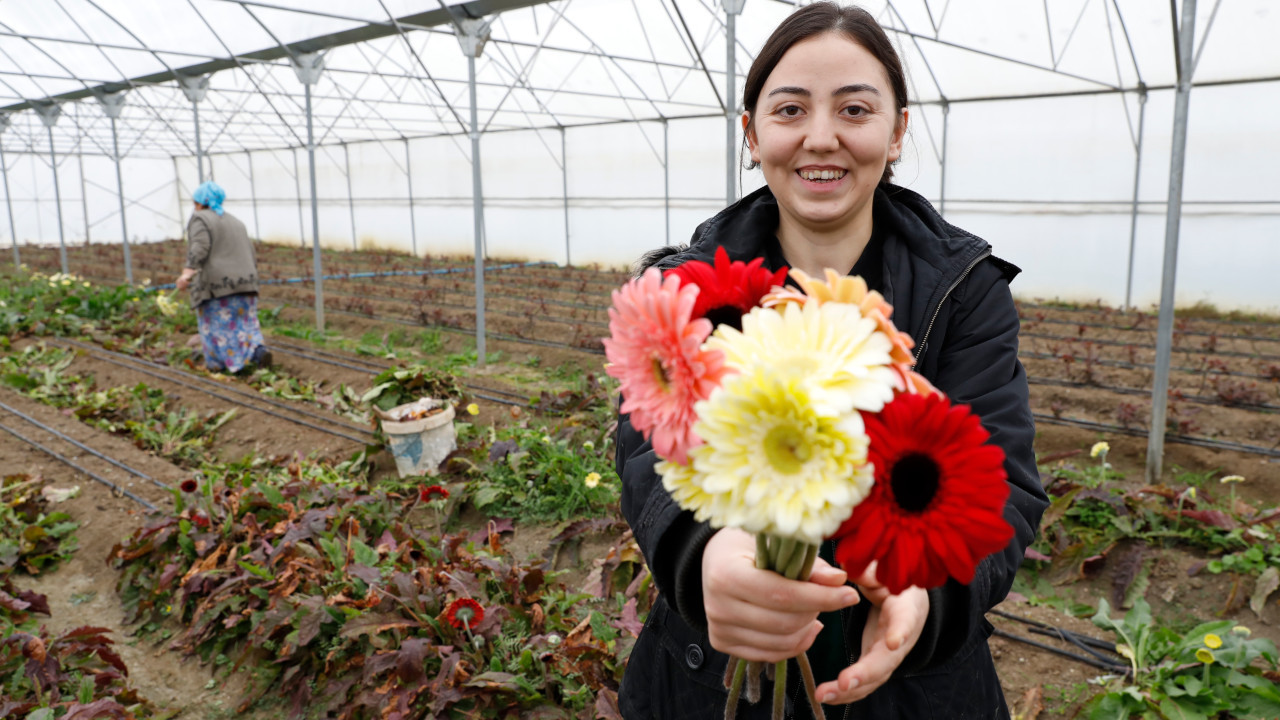 Kadın çiftçi aldığı desteklerle kesme çiçek işini büyüttü
