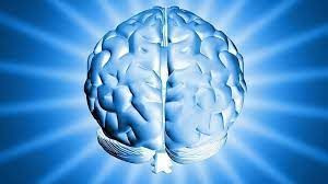 Araştırma: İnsan beyni büyüyor, yeni nesil hastalıktan kurtulabilir - Sayfa 3