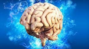 Araştırma: İnsan beyni büyüyor, yeni nesil hastalıktan kurtulabilir - Sayfa 4