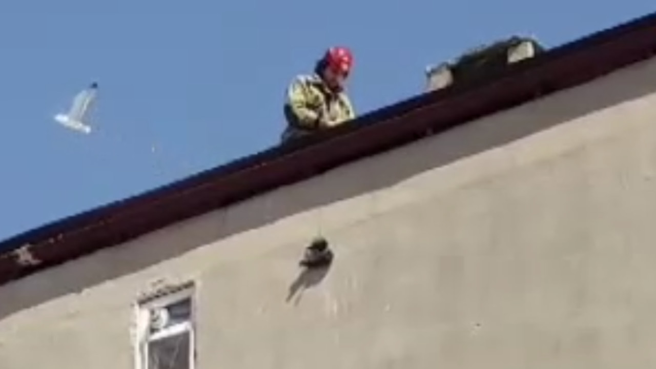 Çatıda ipe dolanan kargayı itfaiye kurtardı