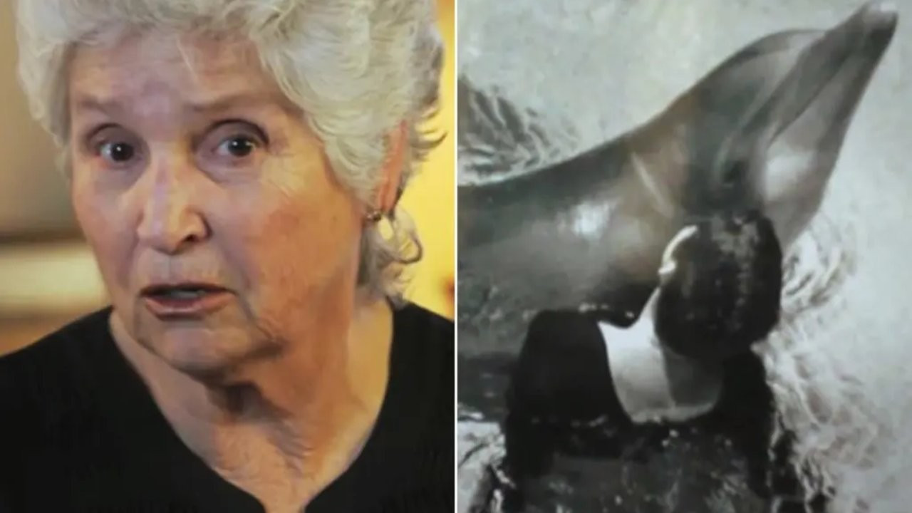 'Yunuslarla konuşan kadın' 50 yıl sonra itiraf etti
