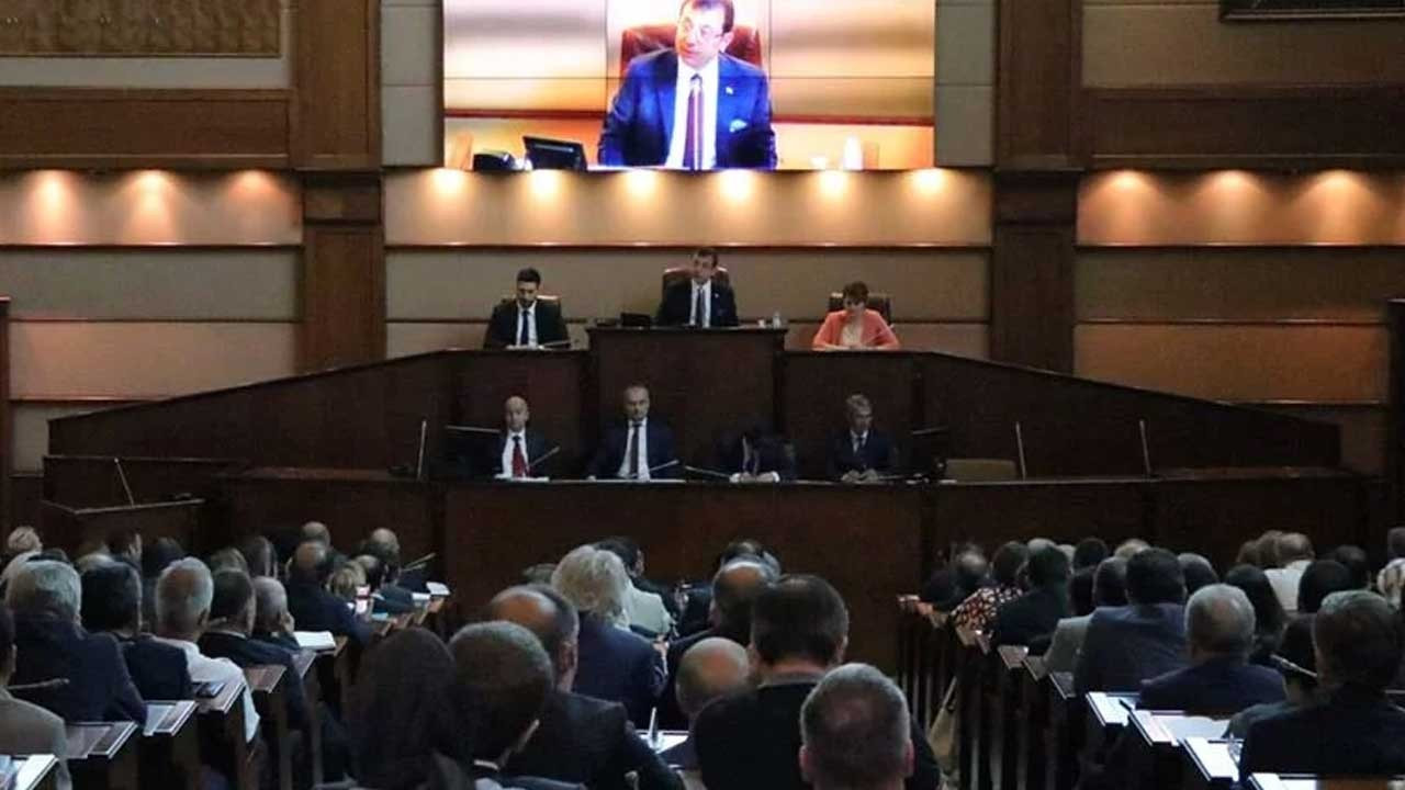 'Topal ördek' iyileşti: CHP, İstanbul'da meclis üyeliğinde fark attı