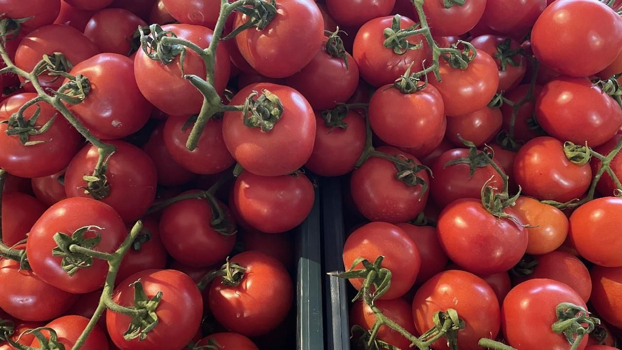 Üreticiden uyarı: 250 TL'ye domates yersiniz - Sayfa 1