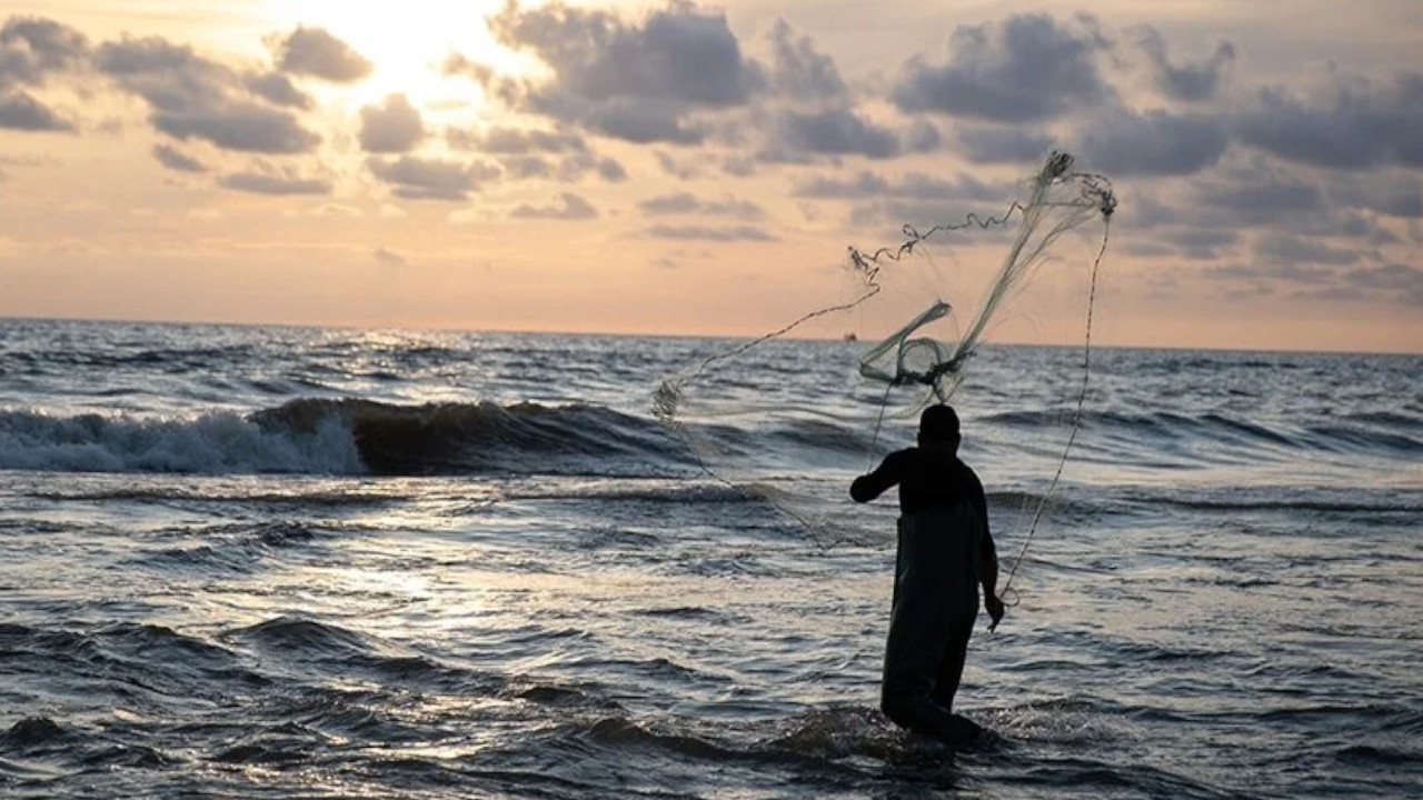 Sinop'ta 12 kiloluk kalkan balığı ağlara takıldı