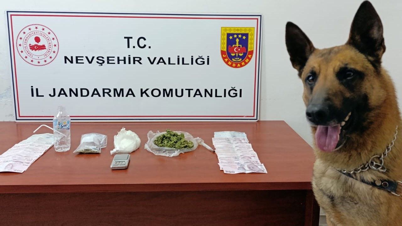 Hayvan barınağına uyuşturucu operasyonu: 1 kişi tutuklandı