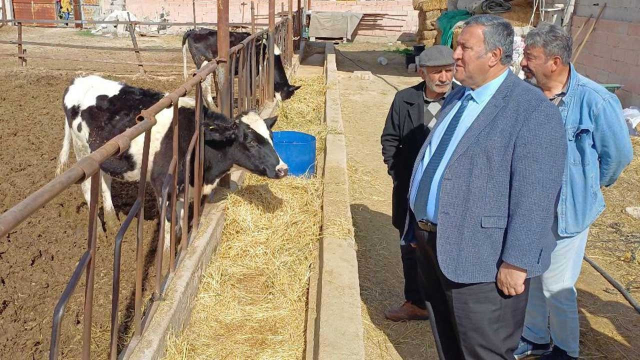 CHP'li Gürer: Çiğ süt fiyat artışı besicinin yarasına merhem olmayacak