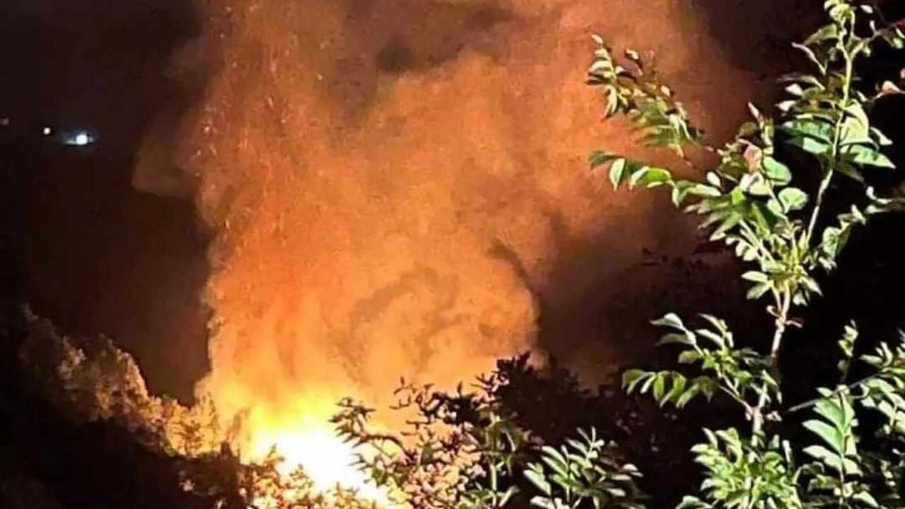 Sivas'ta çıkan yangında 9 büyükbaş hayvan öldü