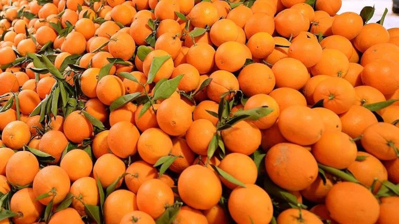 Adana'da portakallı lezzetler yarıştı