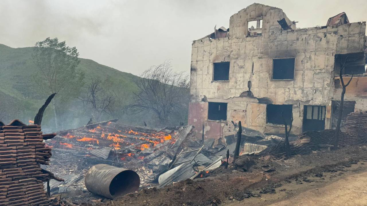 Kastamonu'da çıkan yangında 4 büyükbaş hayvan öldü