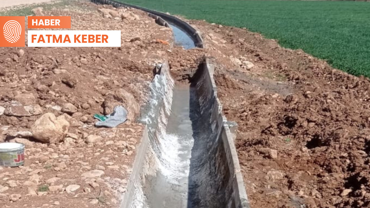 Urfa'da çiftçilerin başı sulama fiyatları ile dertte: 'Ürünler para kazandırmıyor'