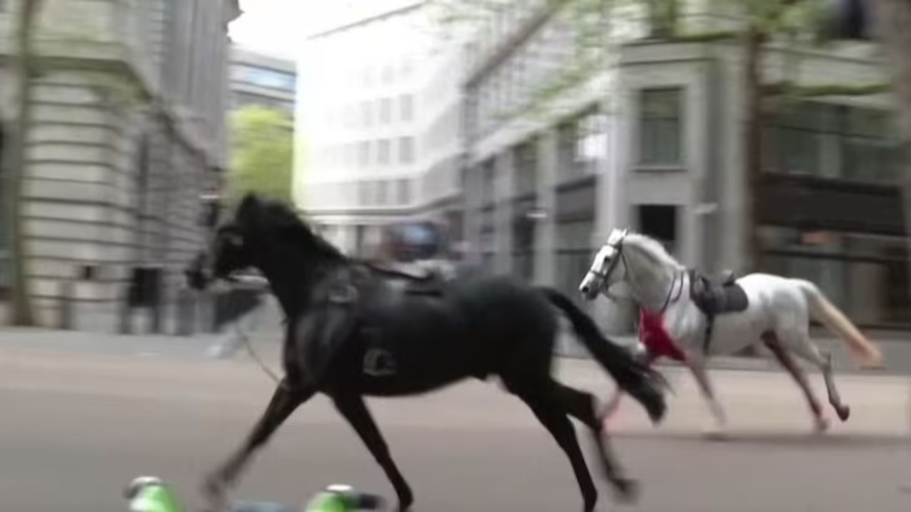 Buckingham'da süvari isyanı: Saraydan kaçan atlar Londra sokaklarında