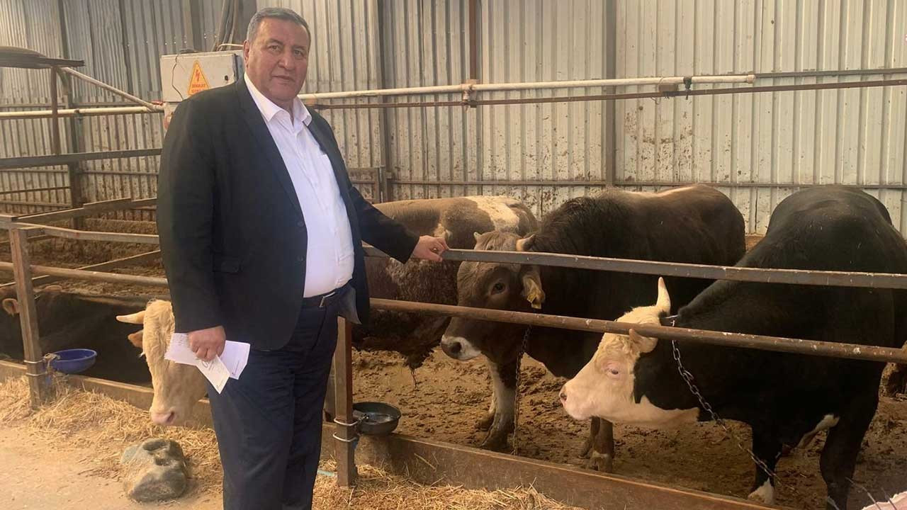 CHP'li Gürer: Faizin artması hayvancılığı zora soktu