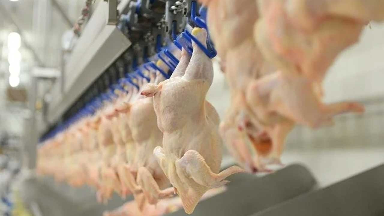 Tavuk eti ihracatına sınırlama getirildi: 1 Mayıs'ta başlıyor