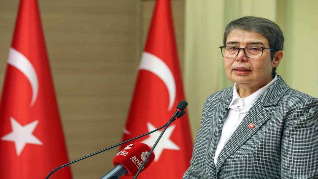 CHP Genel Başkan Yardımcısı Şahbaz'dan 'menenjit' açıklaması