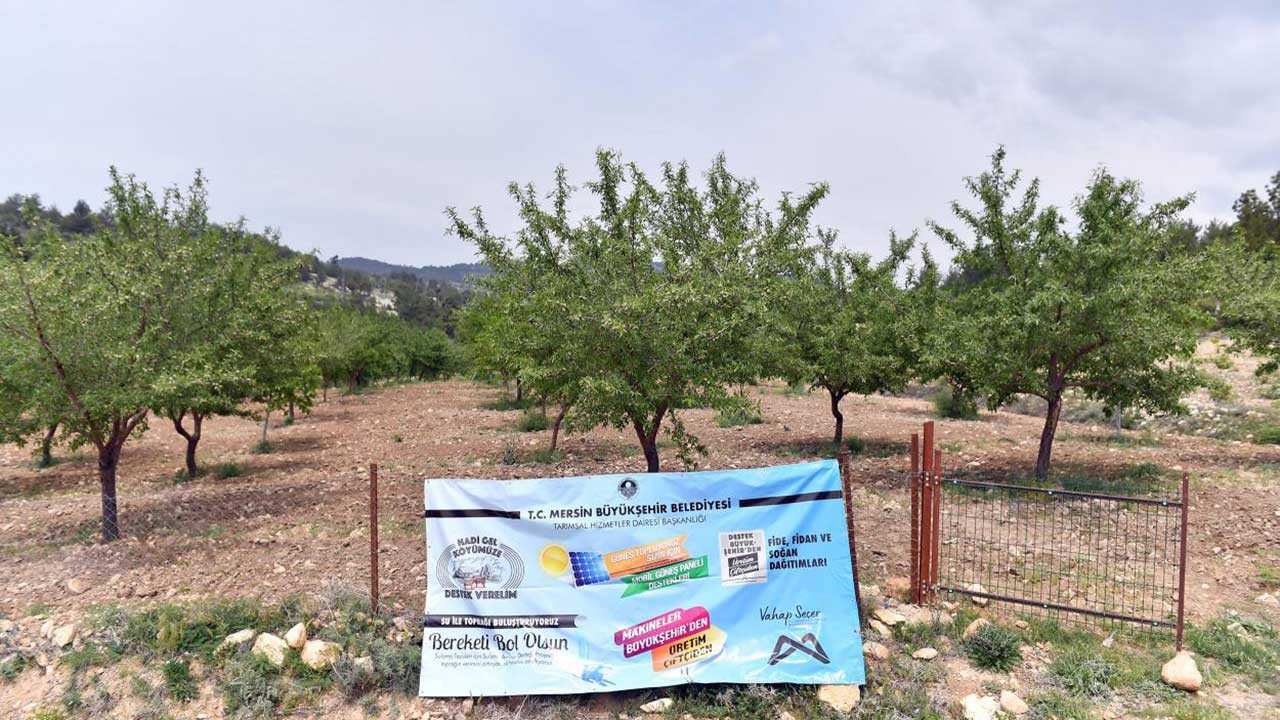 Mersin Büyükşehir Belediyesi'nden ‘organik tarım’ projesiyle üreticiye destek