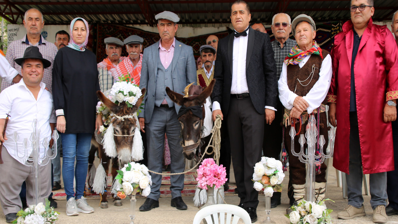 Antalya'da eşeklere nikah kıyıldı: 'Bu hayvanların nesli tükenmesin'