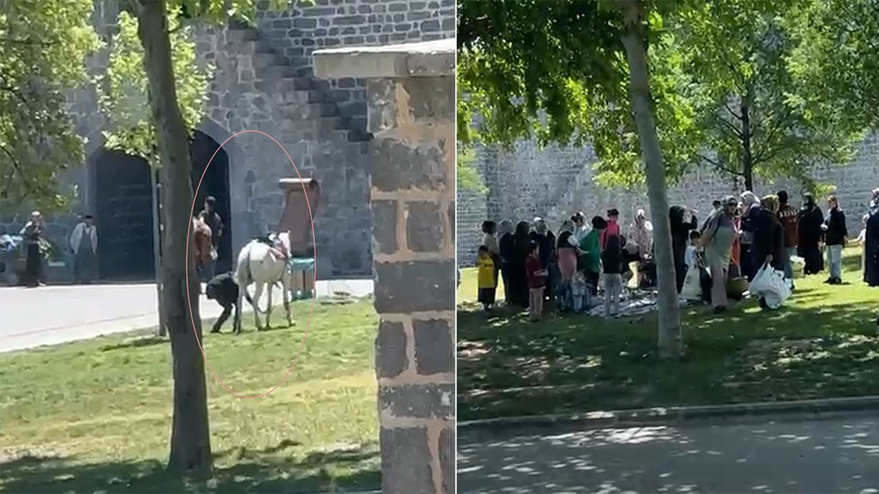 Diyarbakır’da piknik yapanların arasına at daldı