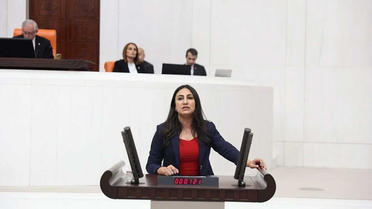 DEM Parti'li Zeynep Oduncu: Kürtçenin kamusal alanda yasaklanmasının gerekçesi nedir?