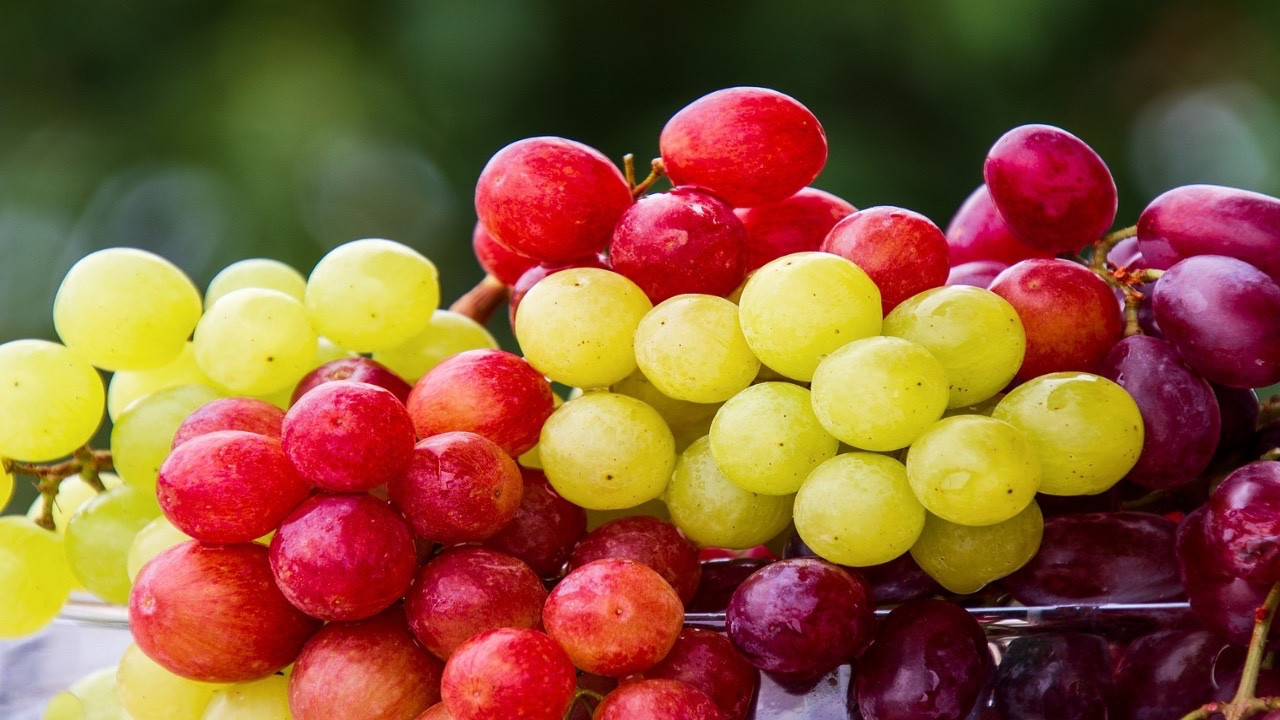 Uzman açıkladı: 6 yaz meyvesinin sağlığa yararları