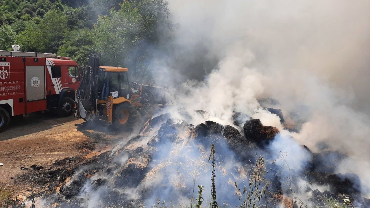 Kocaeli'de besi çiftliğindeki yangın söndürüldü