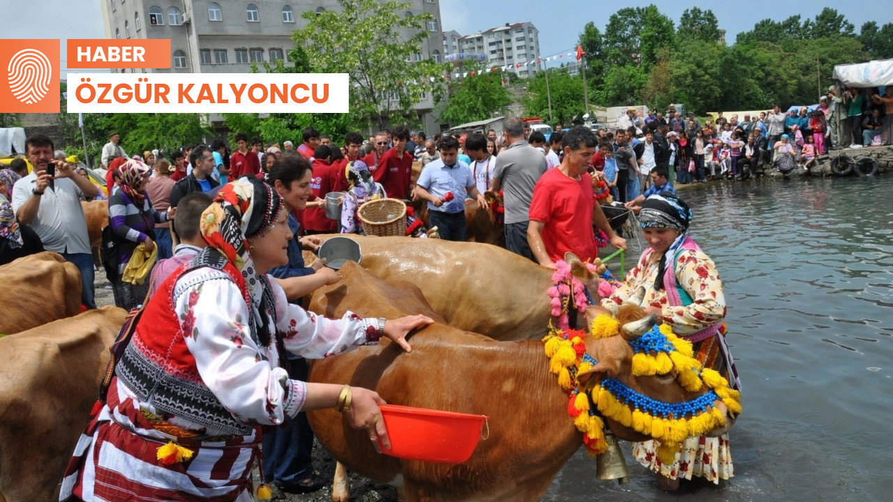 Doğu Karadeniz’in bahar bayramı: Mayıs Yedisi