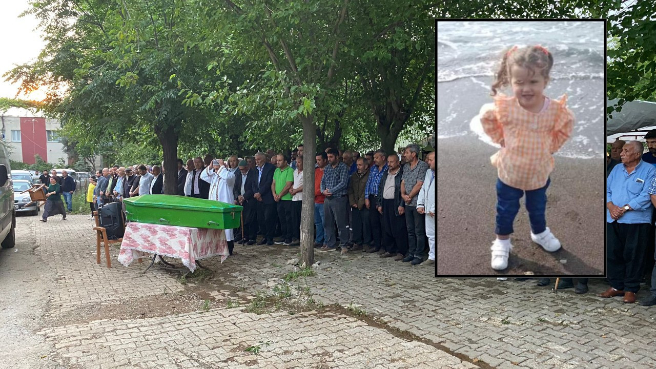 5 yaşındaki çocuk, böcek ısırığı nedeniyle hayatını kaybetti