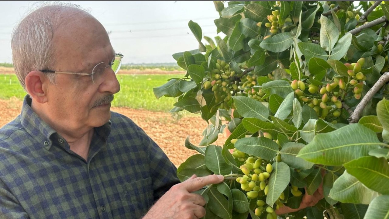 Eski CHP lideri Kılıçdaroğlu, Antep'te köy ziyaretinde