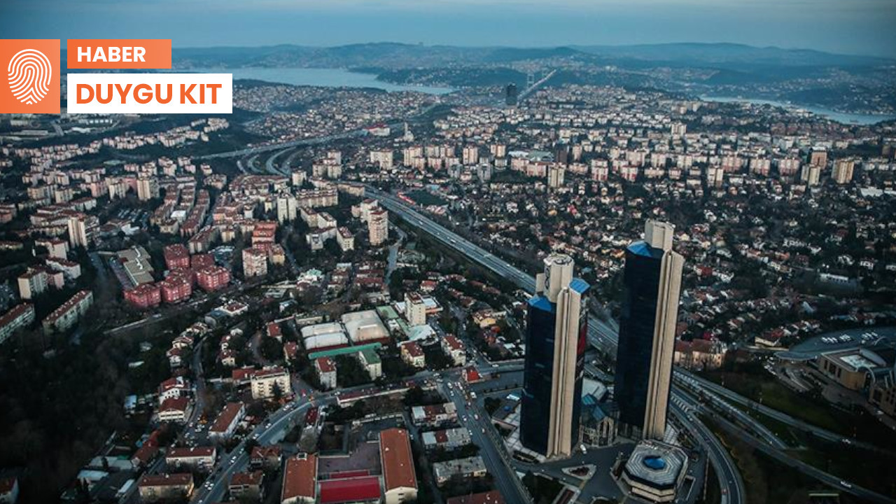 İstanbul'un kelebekleri yok oluyor: 'Sebep yoğun yapılaşma'