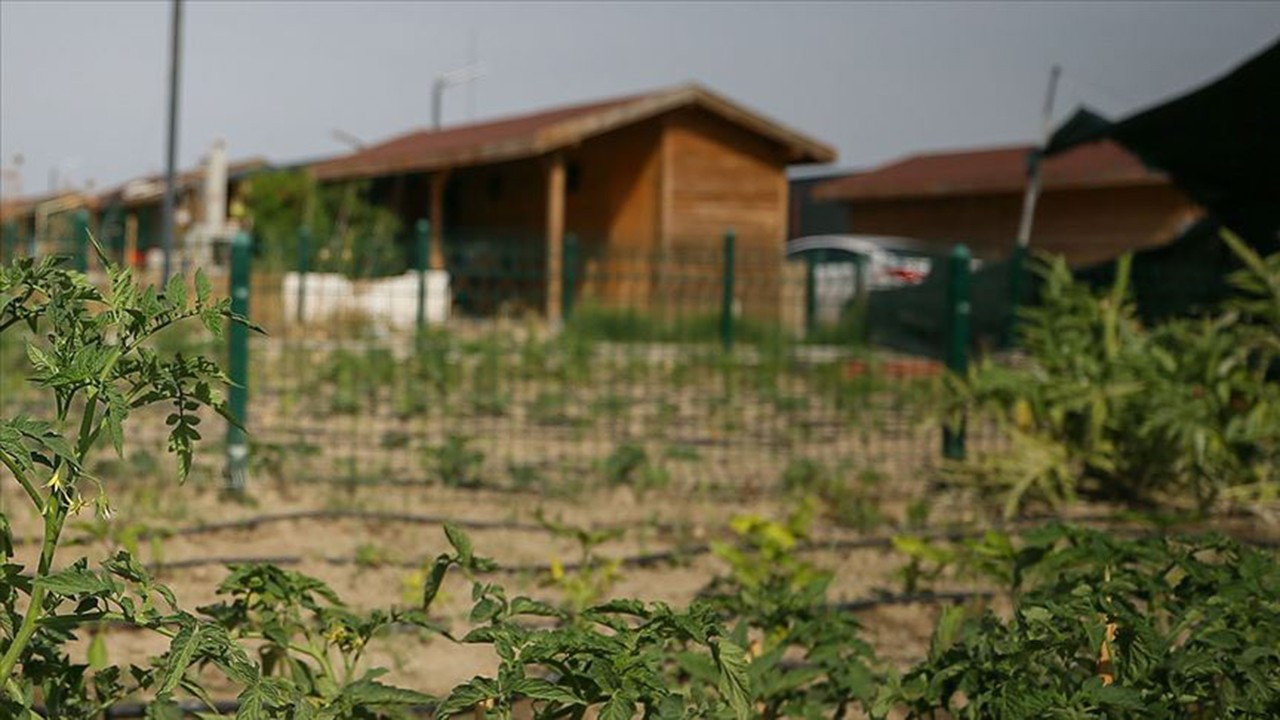 Menderes'te yasa dışı hobi bahçeleri yıkılacak