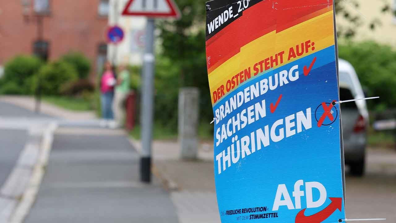 Almanya'da AP seçimlerinde AfD endişesi