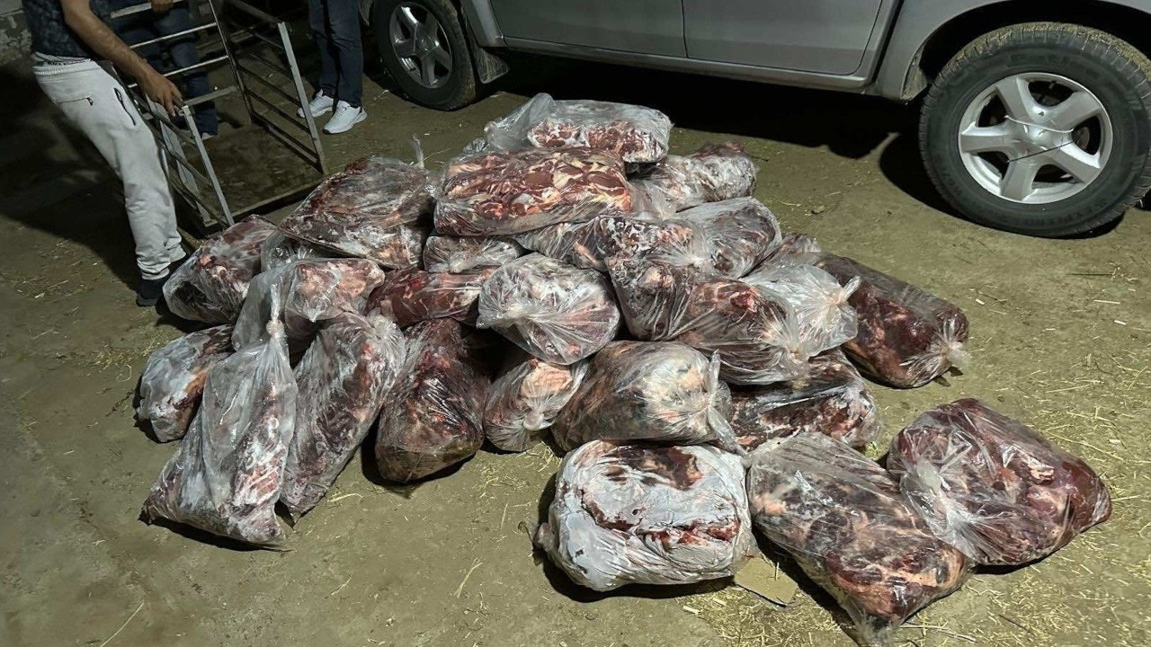 Aydın'da yaklaşık 1 ton domuz eti ele geçirildi