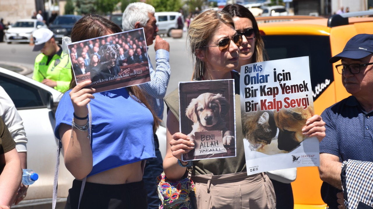 Sivas'ta eylem: Sokak hayvanlarını öldürmek insanlık suçudur